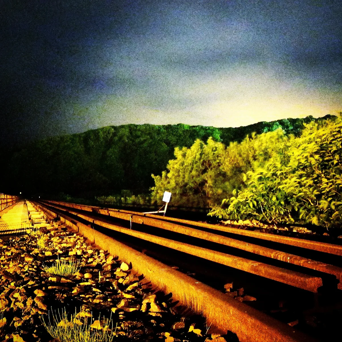 投稿写真：真夜中の日高線。