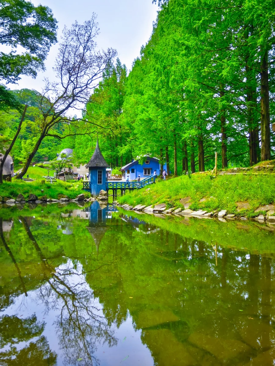 投稿写真：新緑と青い建物のリフレクション