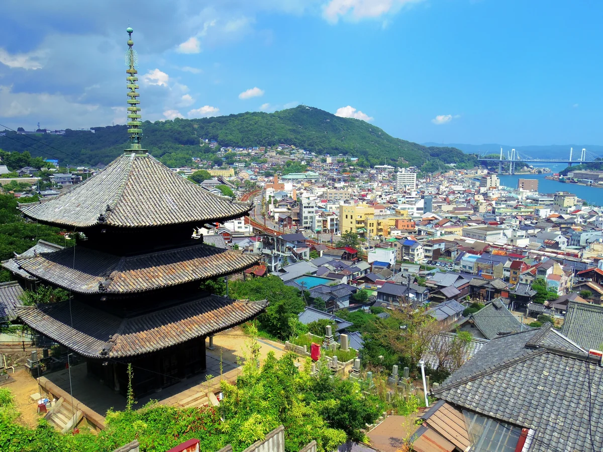 投稿写真：夏の千光寺の下山途中にて