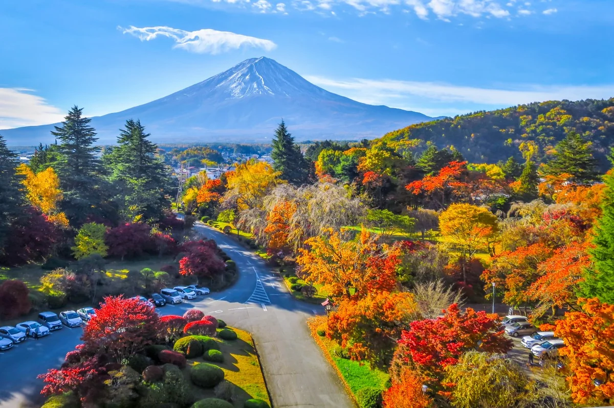 投稿写真：紅葉の庭園と富士山