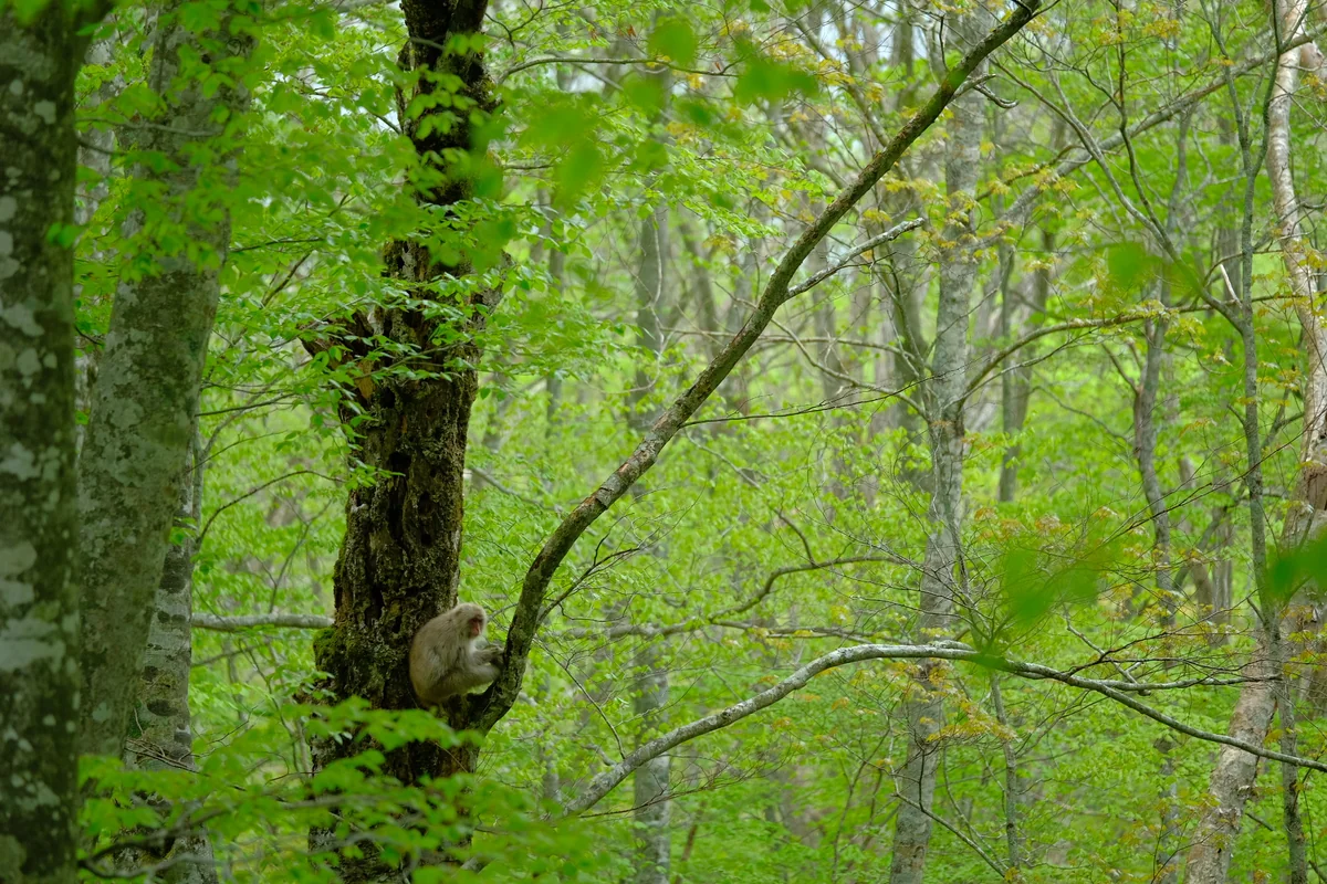 投稿写真：ひとりぼっち