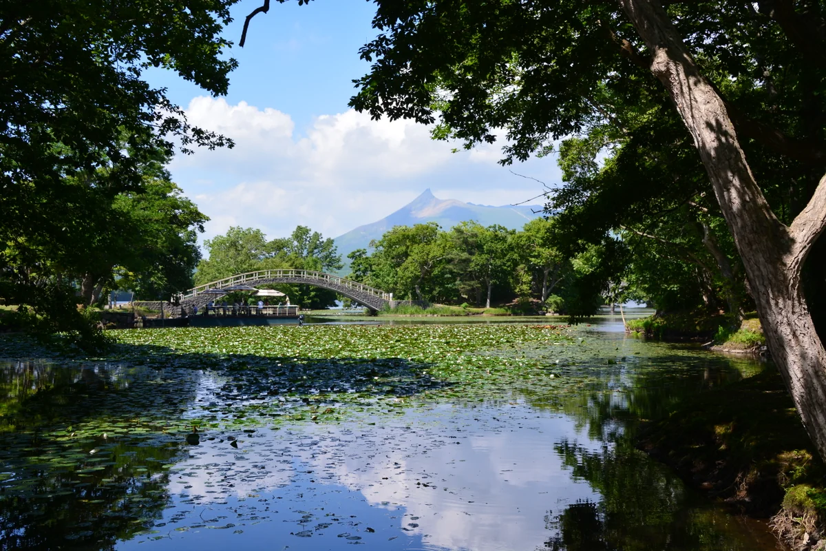 投稿写真：大沼公園