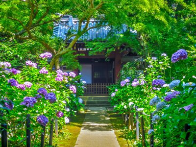  | 絶景事典