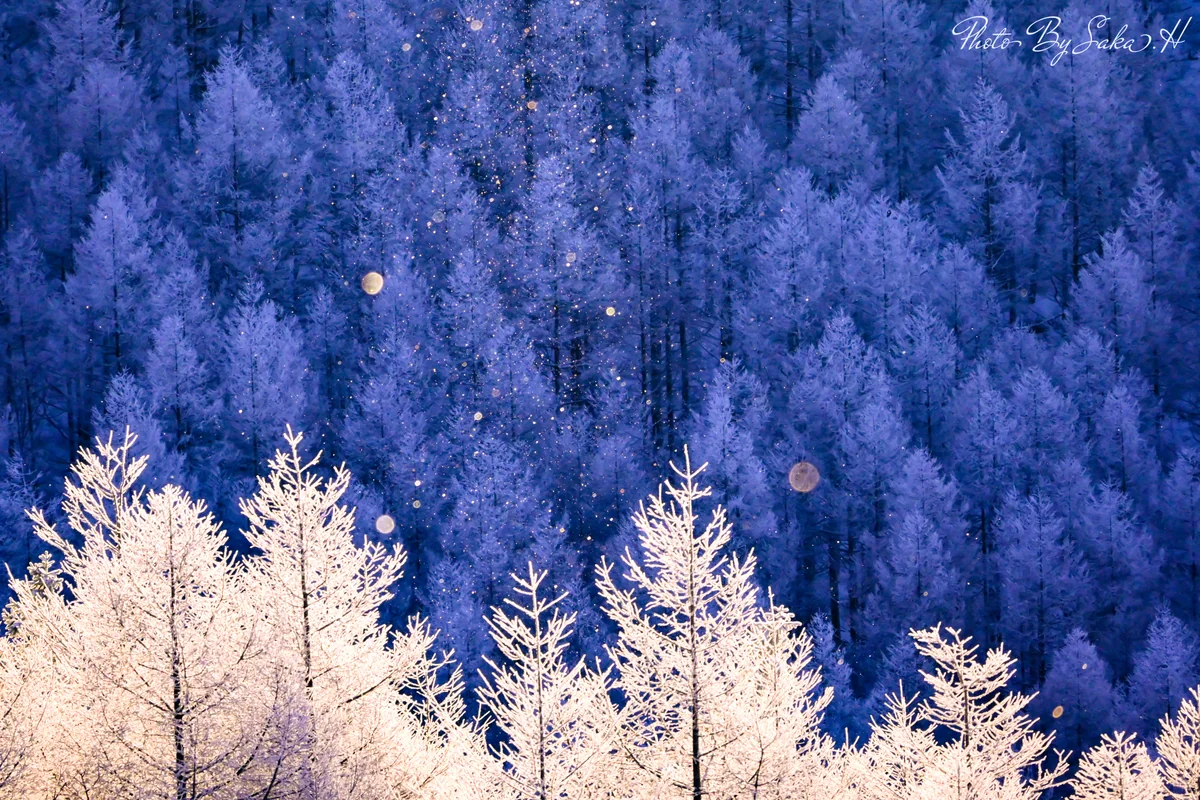 投稿写真：ダイヤモンドダスト