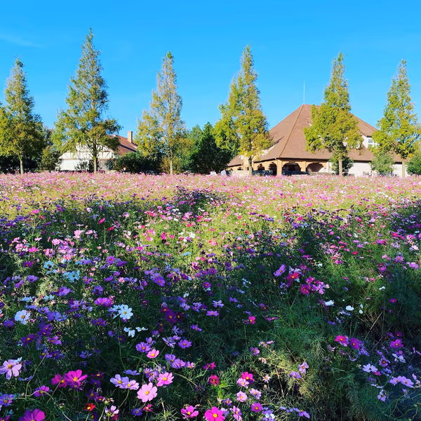 投稿：ブルーメの丘〜四季の花々と動物たちの楽園〜