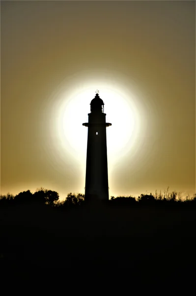 投稿：下田市爪木崎灯台。