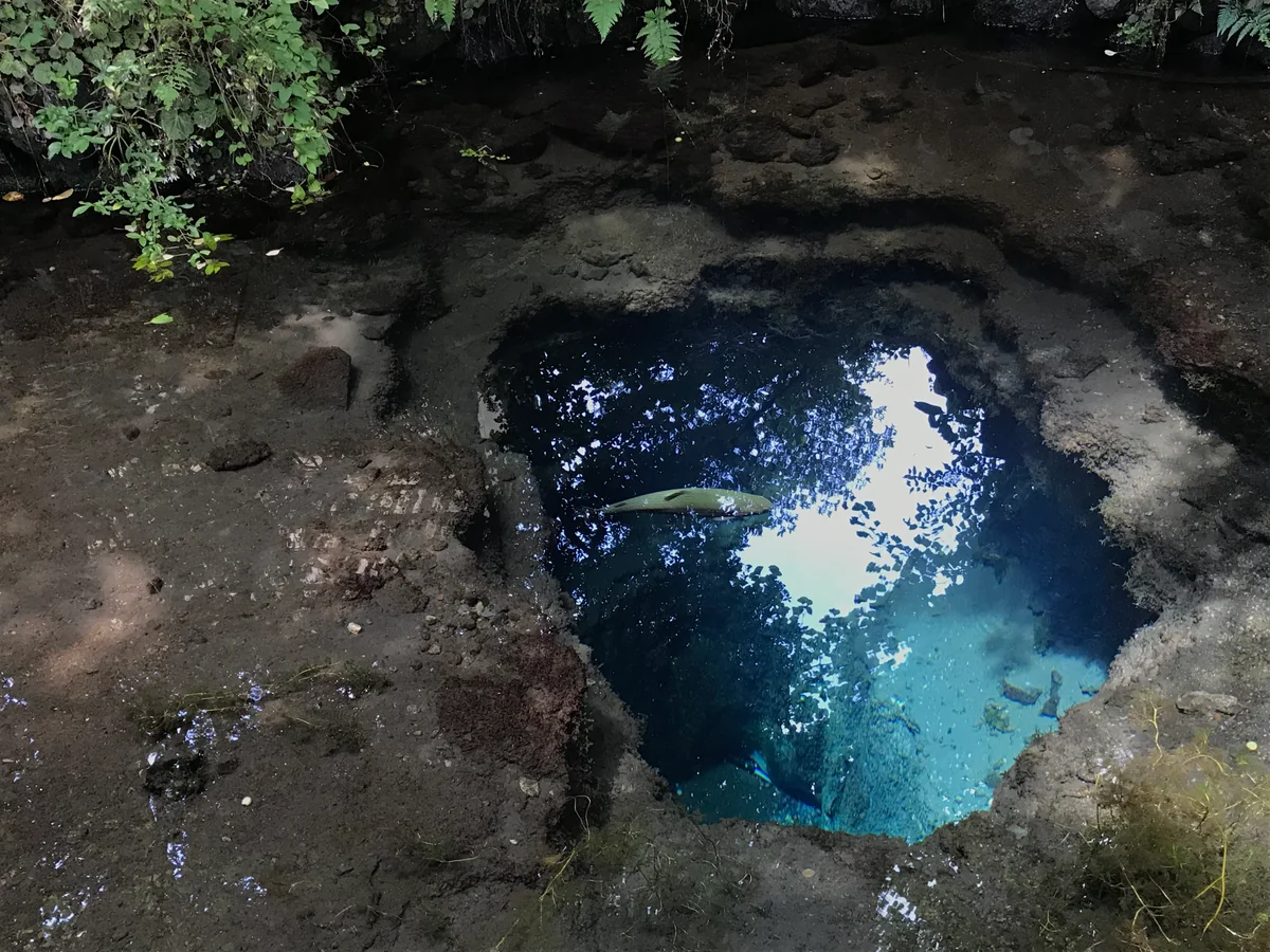 投稿写真：水と光