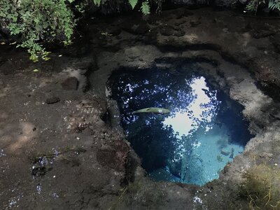  | 絶景事典