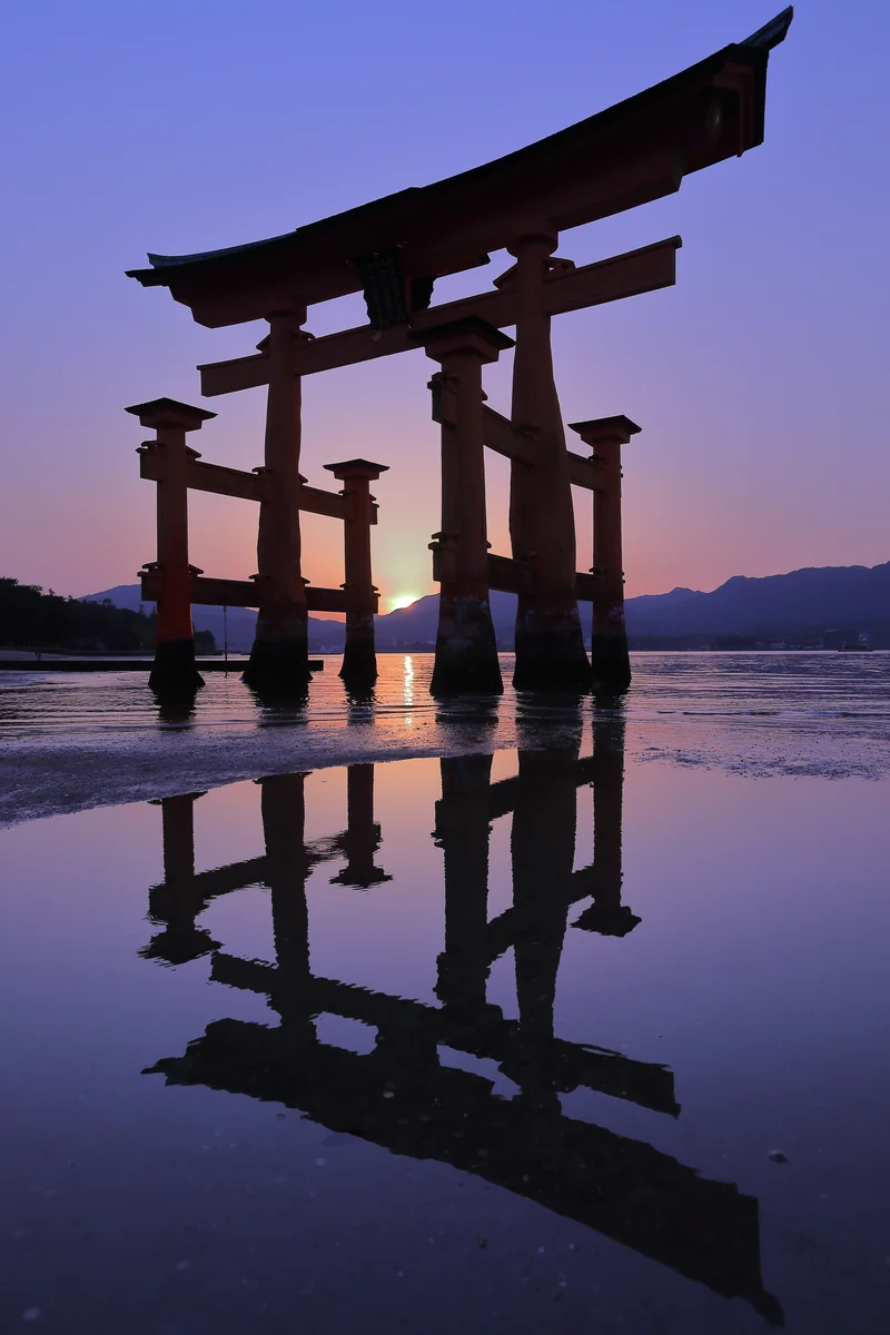 投稿写真：大鳥居越しの夕日