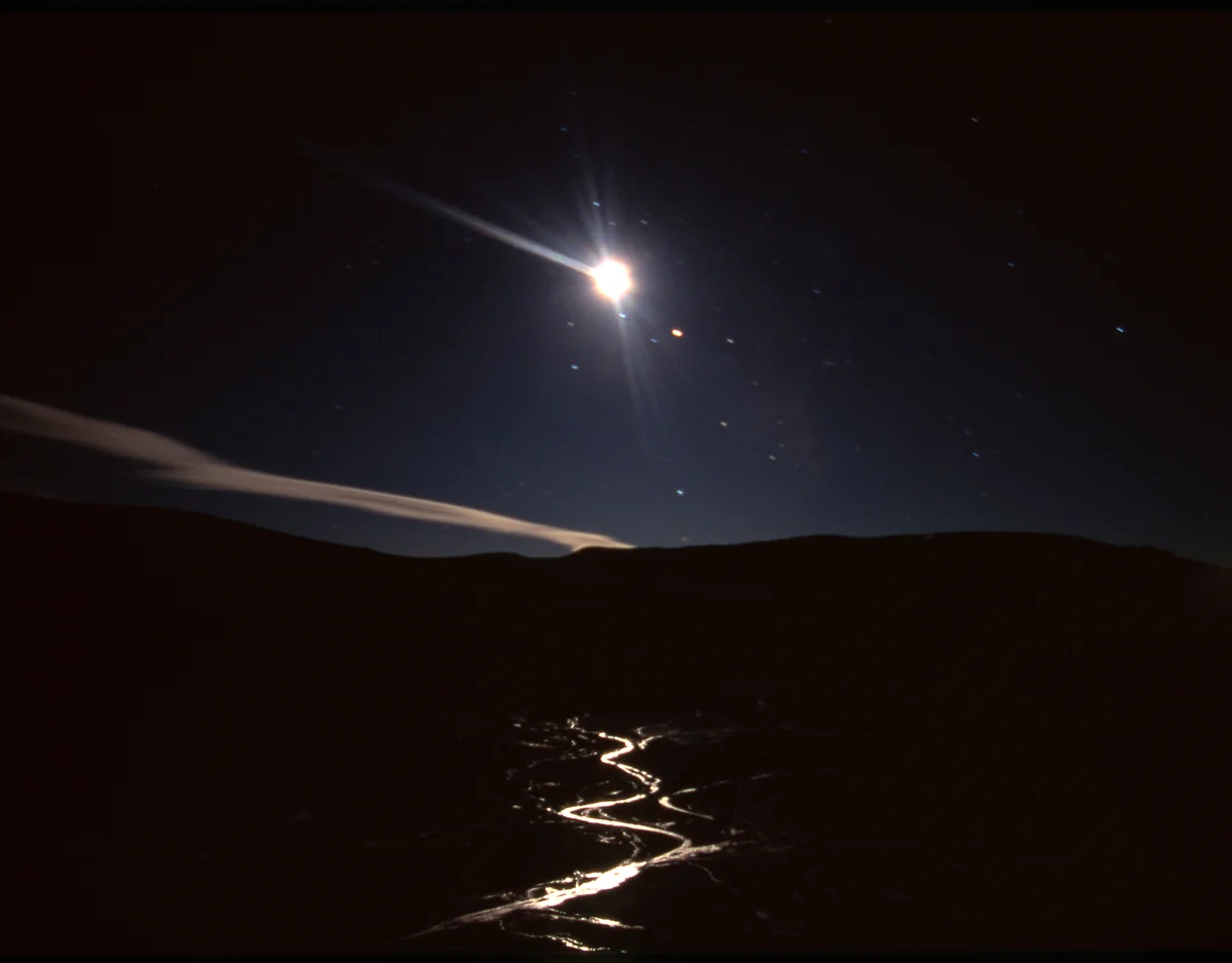 投稿写真：月の雫