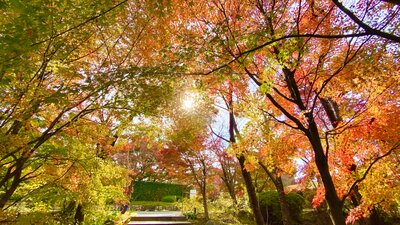  | 絶景事典
