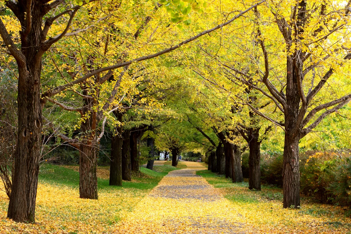 ゆうちょさんの投稿写真