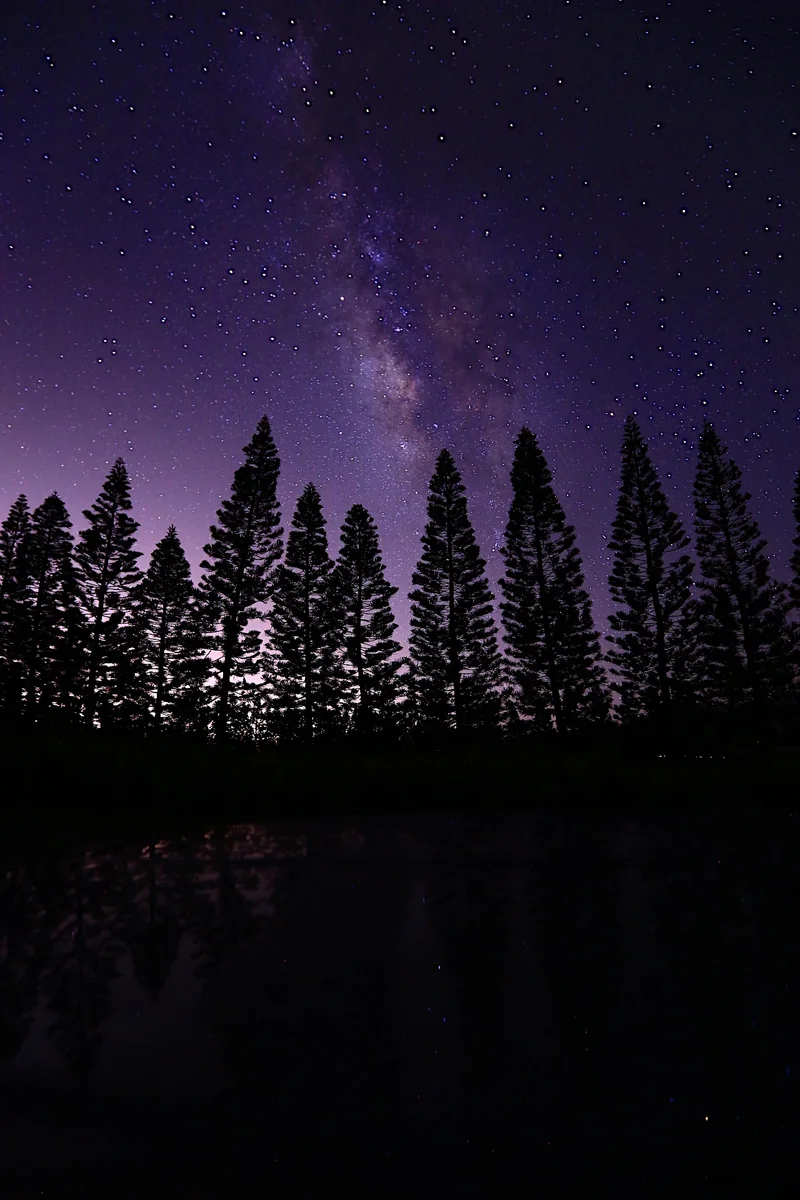 投稿写真：星空