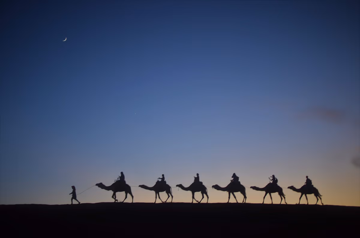 投稿写真：A Dune at Dusk