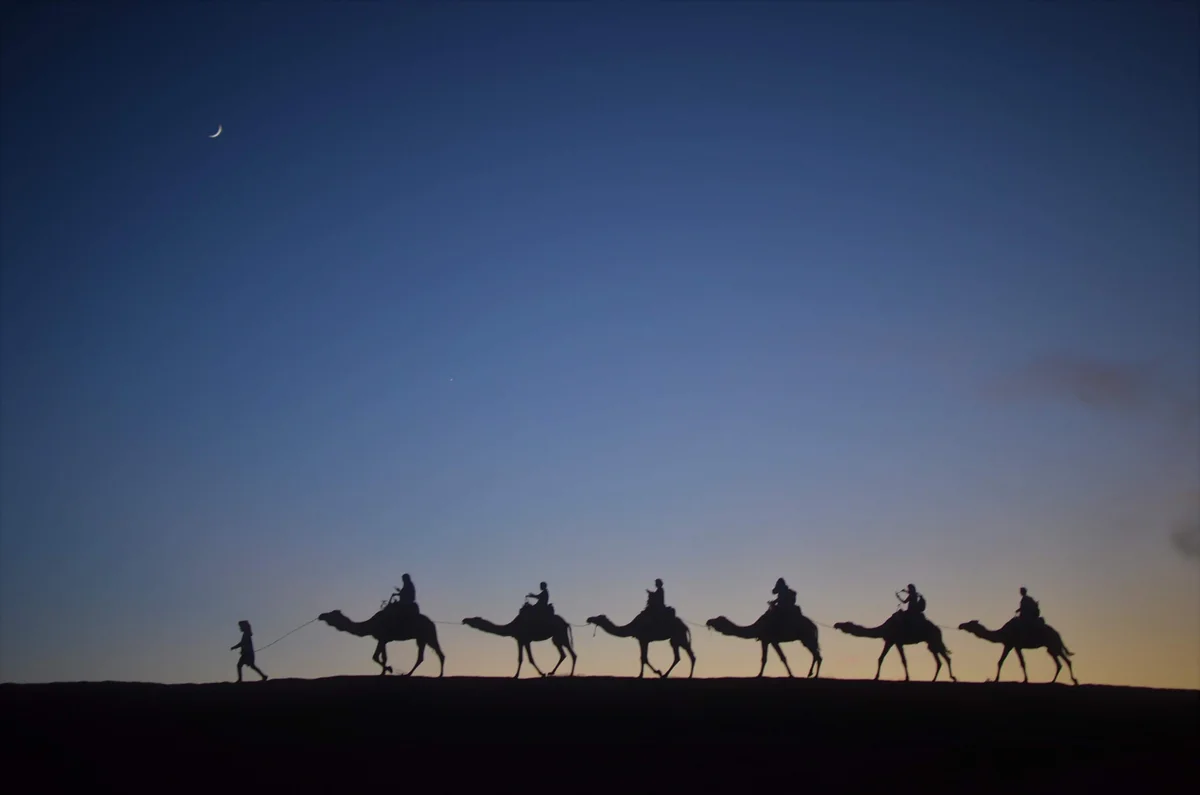 投稿写真：A Dune at Dusk