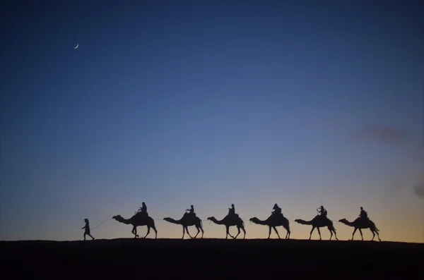 投稿：A Dune at Dusk