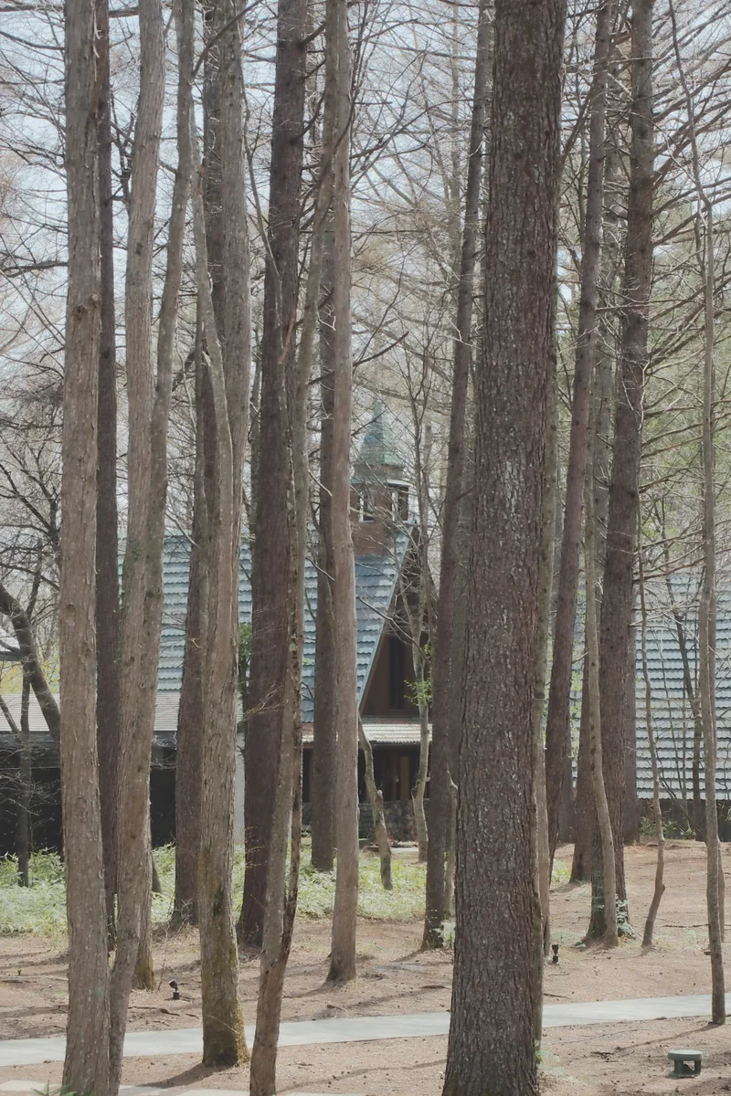 投稿写真：林の中の教会