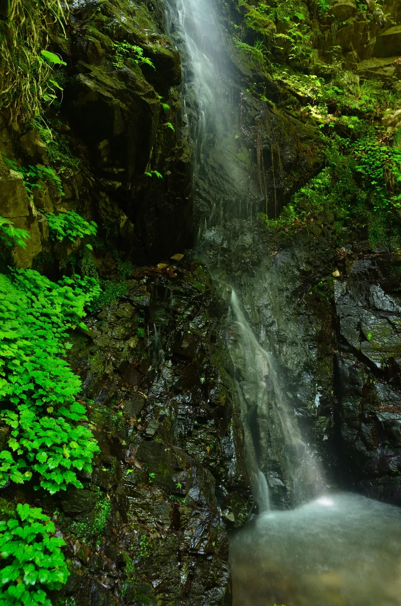 投稿写真：東京檜原村　龍神の滝