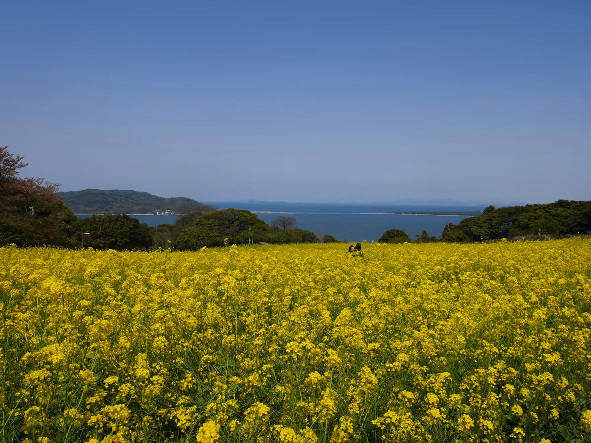 投稿写真：085能古島アイランドパーク（福岡）