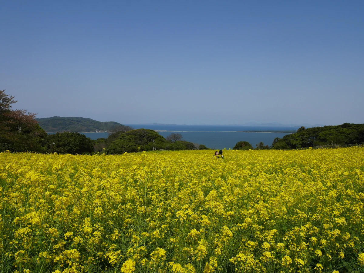 投稿写真：085能古島アイランドパーク（福岡）