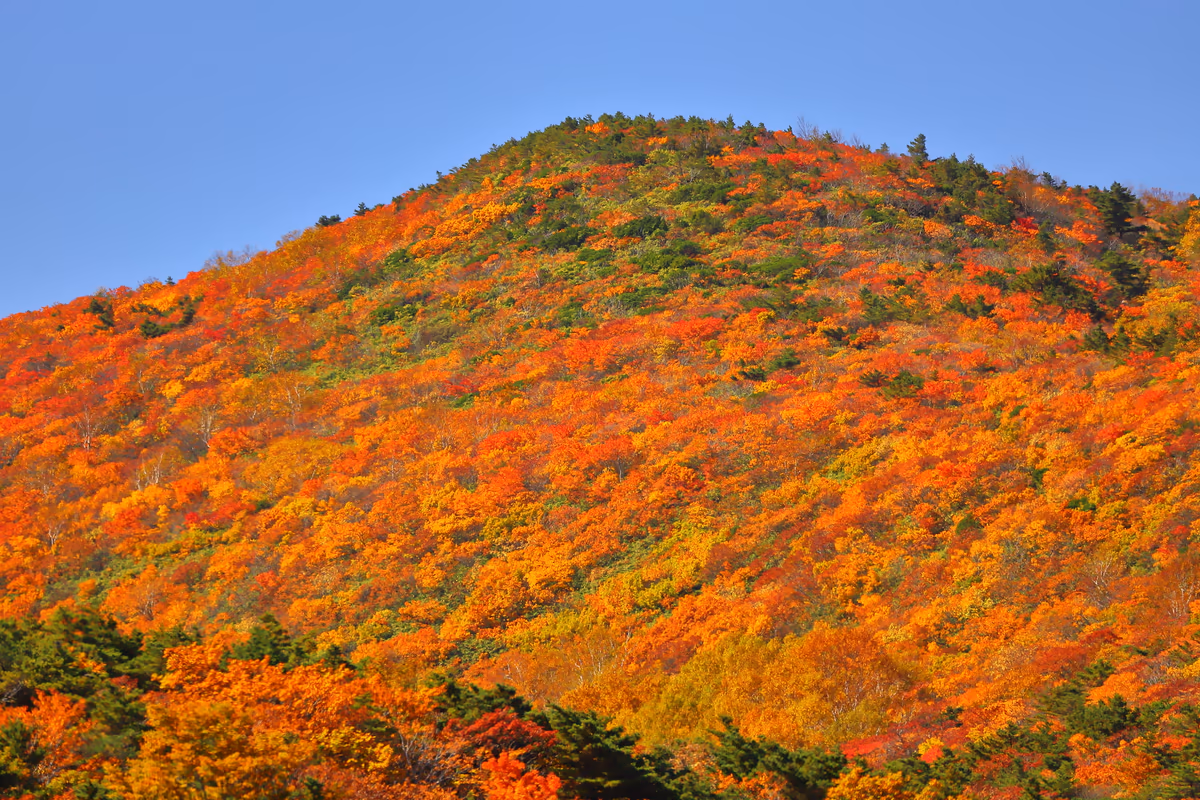 投稿写真：紅葉最盛期の安達太良山