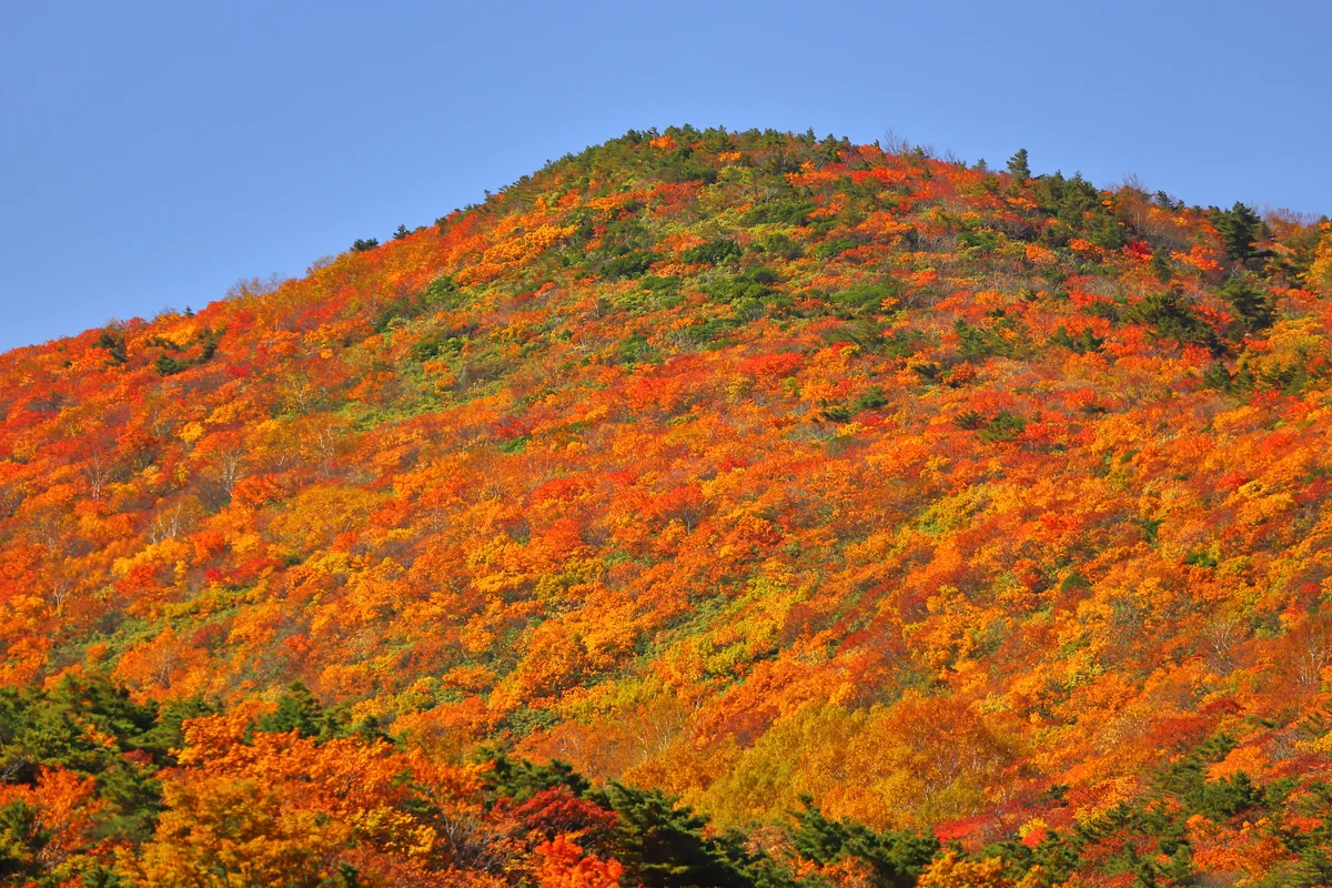 溝口 崇さんの投稿写真