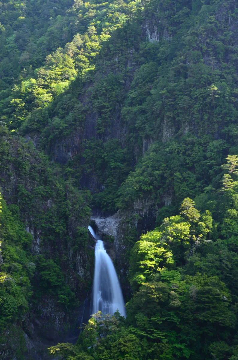 投稿写真：秘境　不動七重の滝