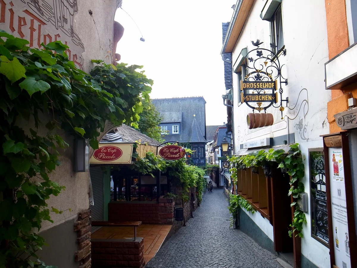 投稿写真：リューデンハイムの小道