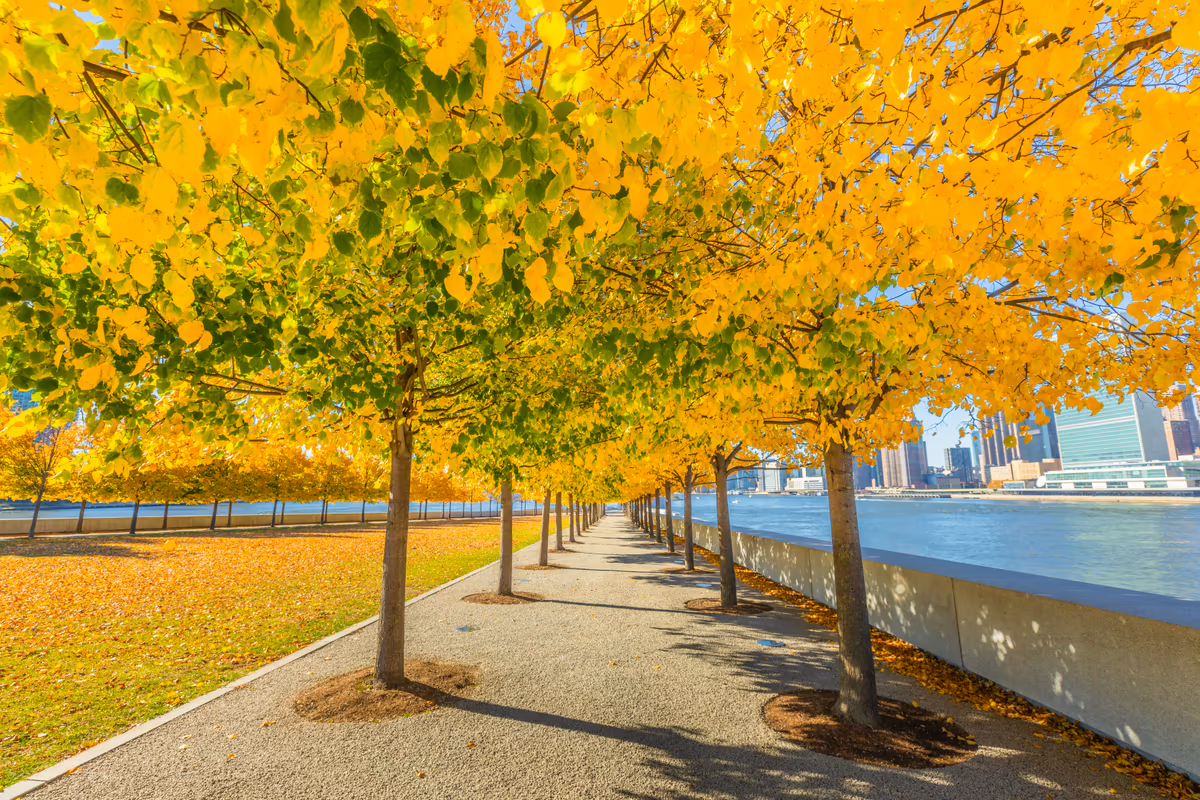 投稿写真：Roosevelt Island, New York