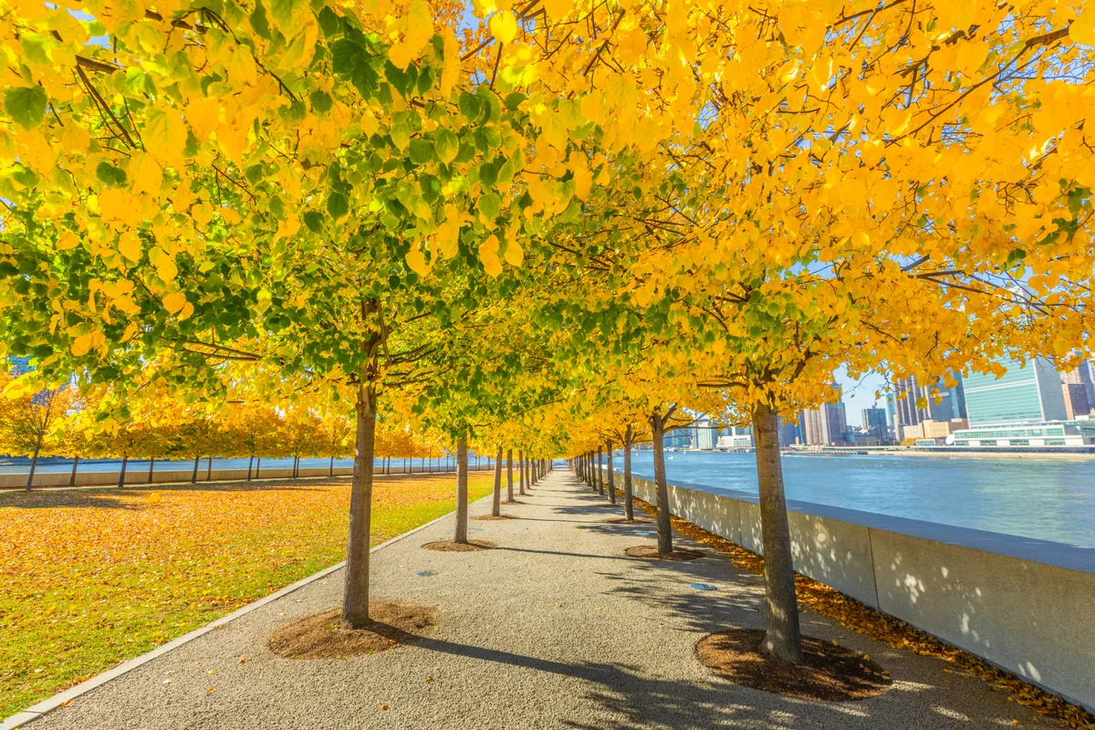 投稿写真：Roosevelt Island, New York