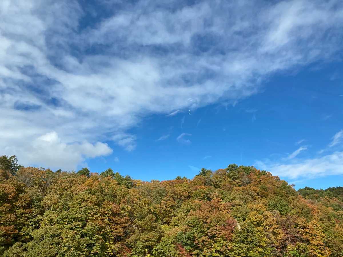 投稿写真：青空と紅葉