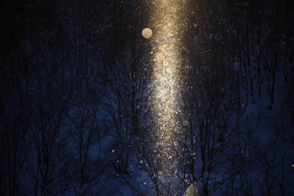 投稿：サンピラー