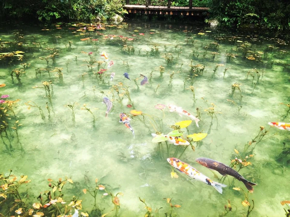 ジュンさんの投稿写真