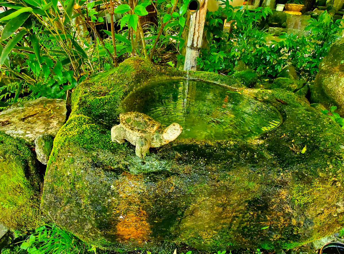 投稿写真：御手水