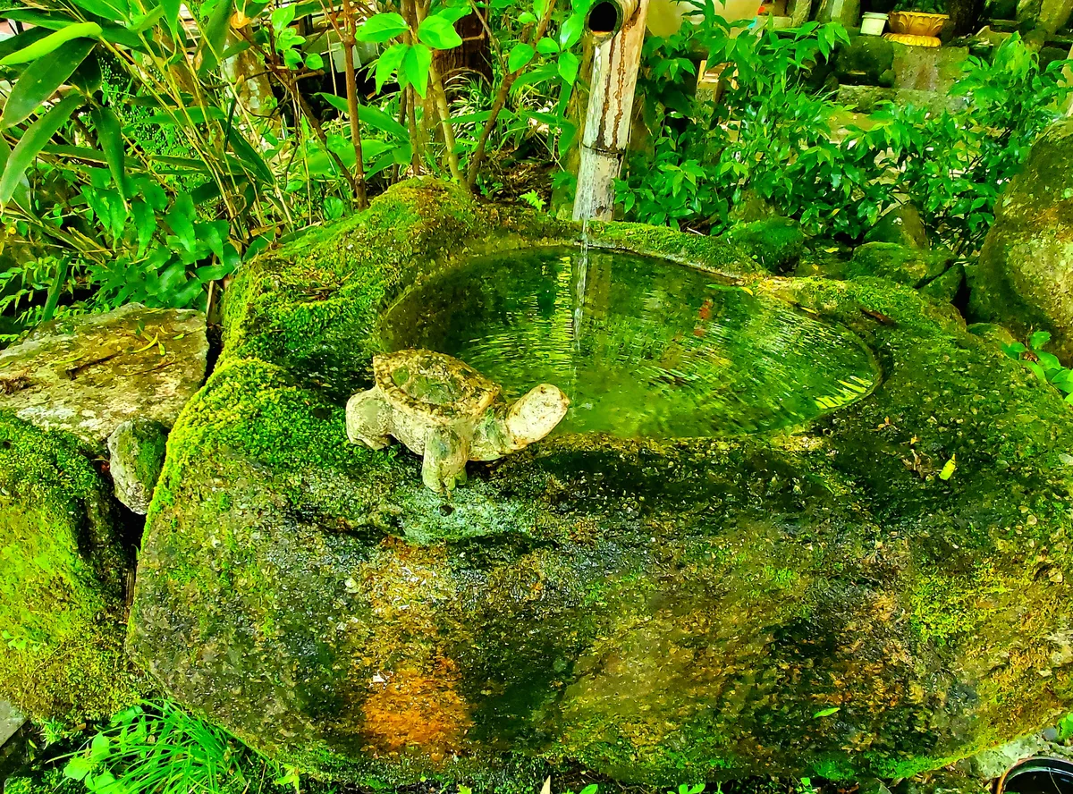 投稿写真：御手水