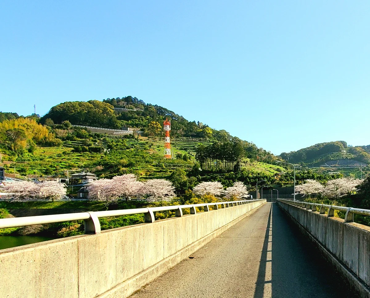 投稿写真：長与ダム