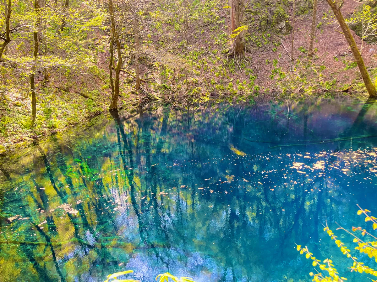 投稿写真：青池