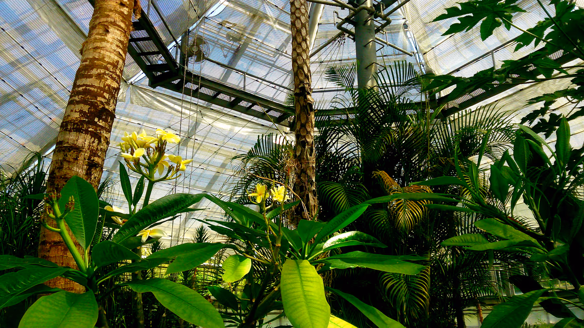 投稿写真：八角ドーム型植物園