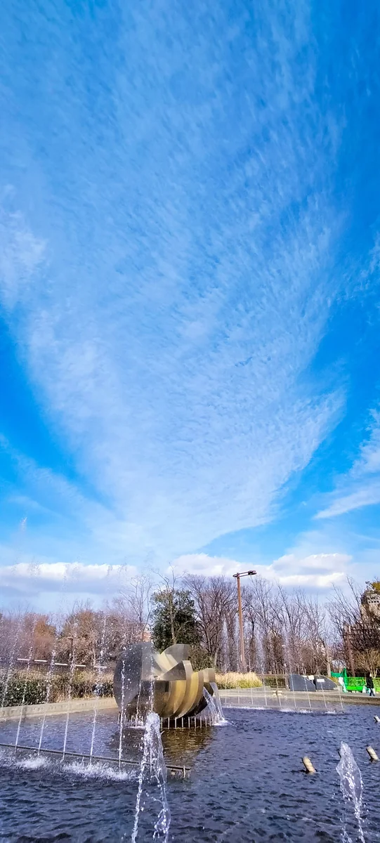 投稿写真：いわし雲？