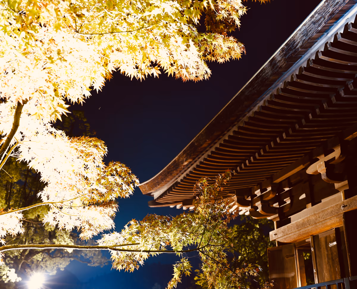 投稿写真：白水阿弥陀堂の紅葉