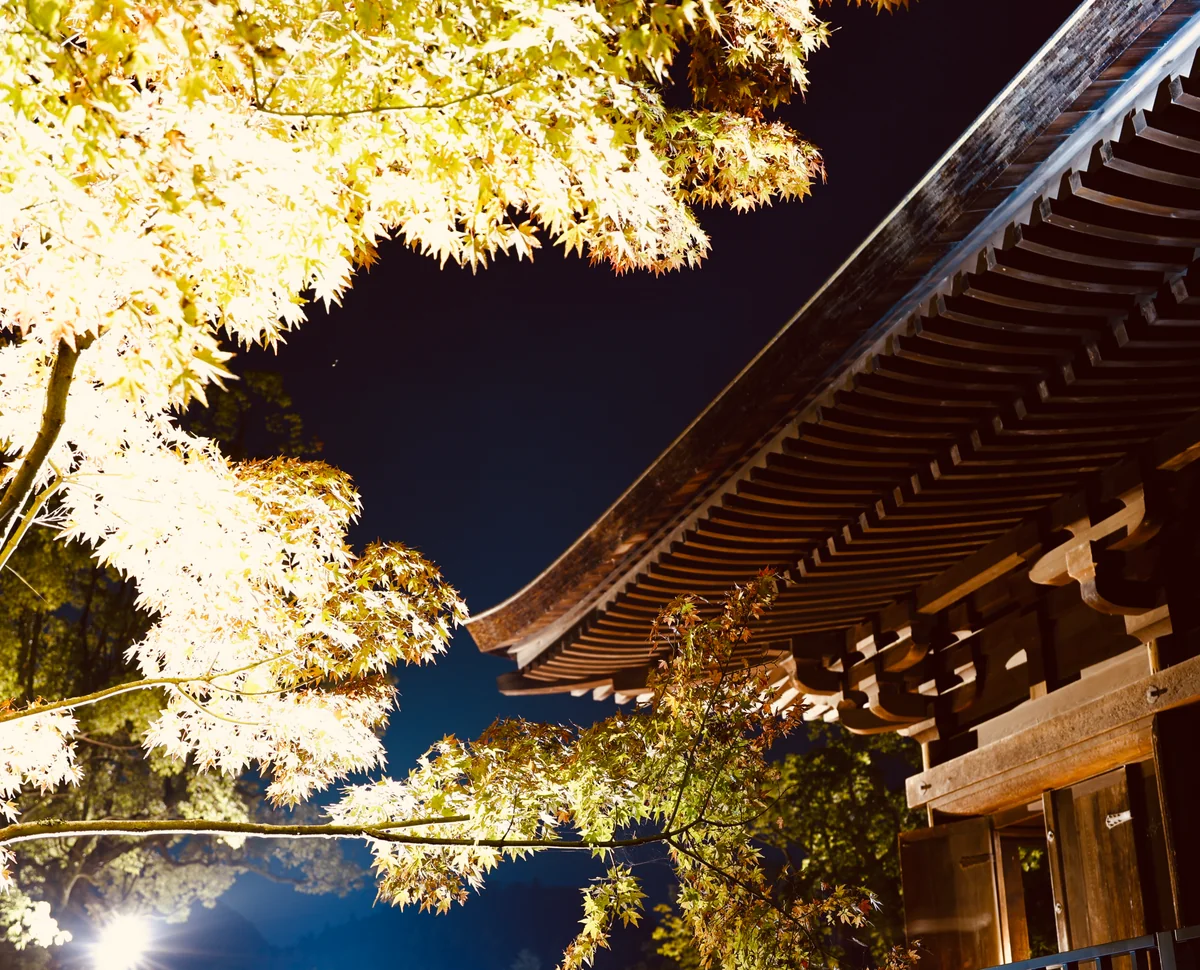 投稿写真：白水阿弥陀堂の紅葉