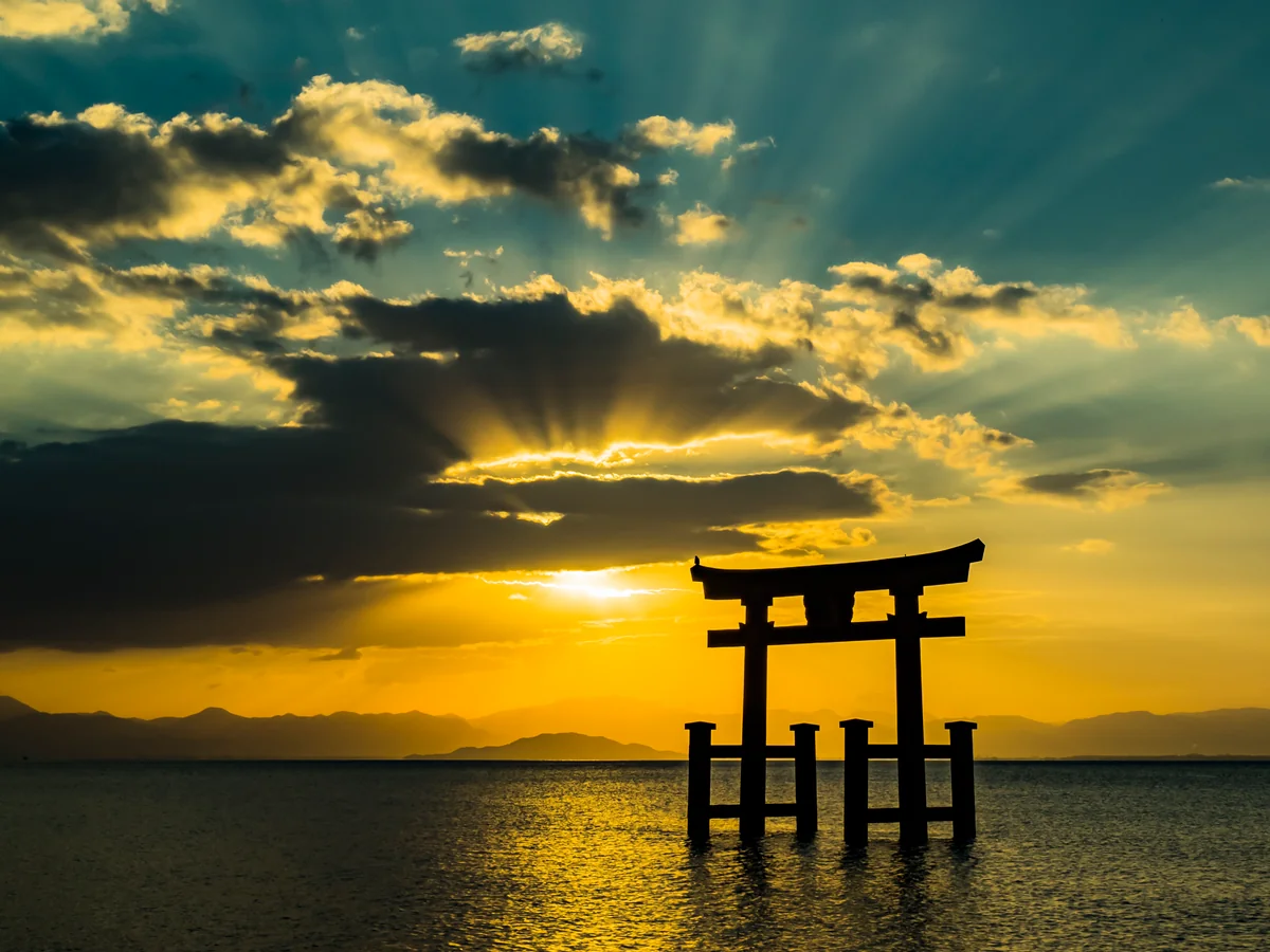 投稿写真：迫りくる威光