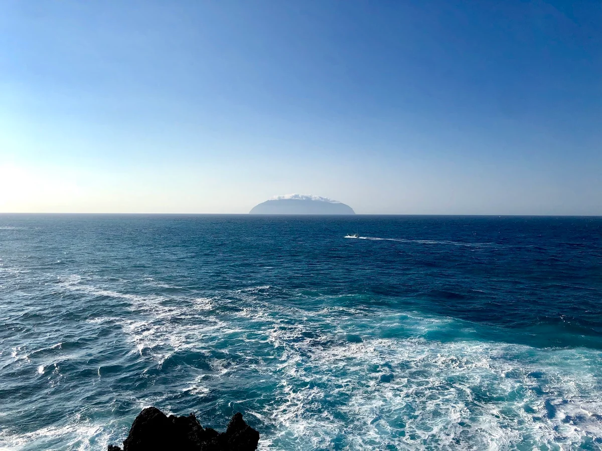投稿写真：イルカの棲む御蔵島