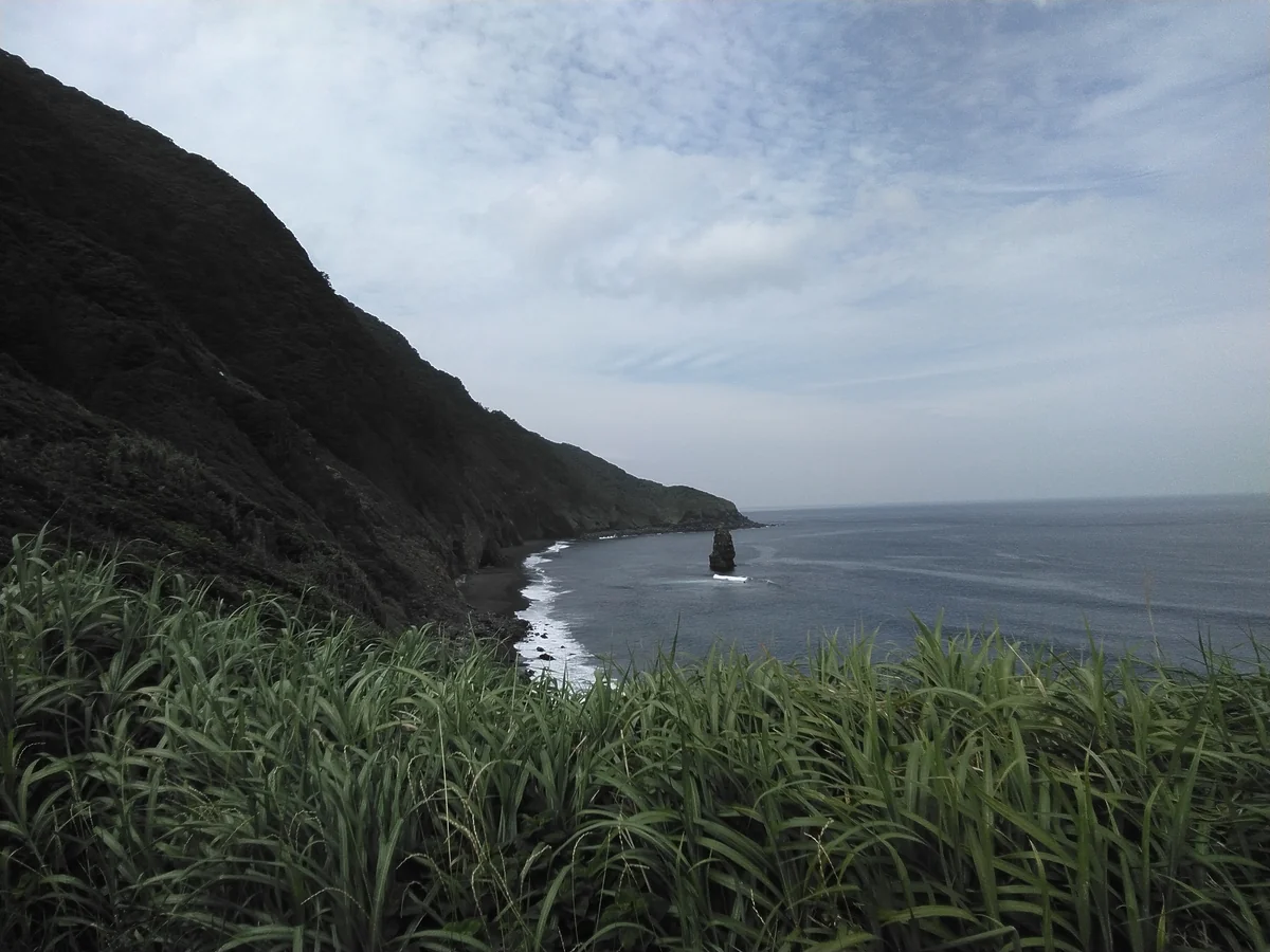 投稿写真：伊豆大島