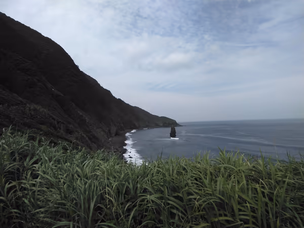 投稿：伊豆大島