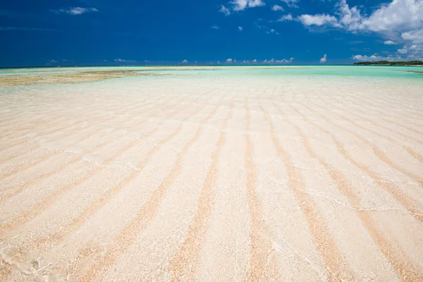 投稿：与論島・百合が浜