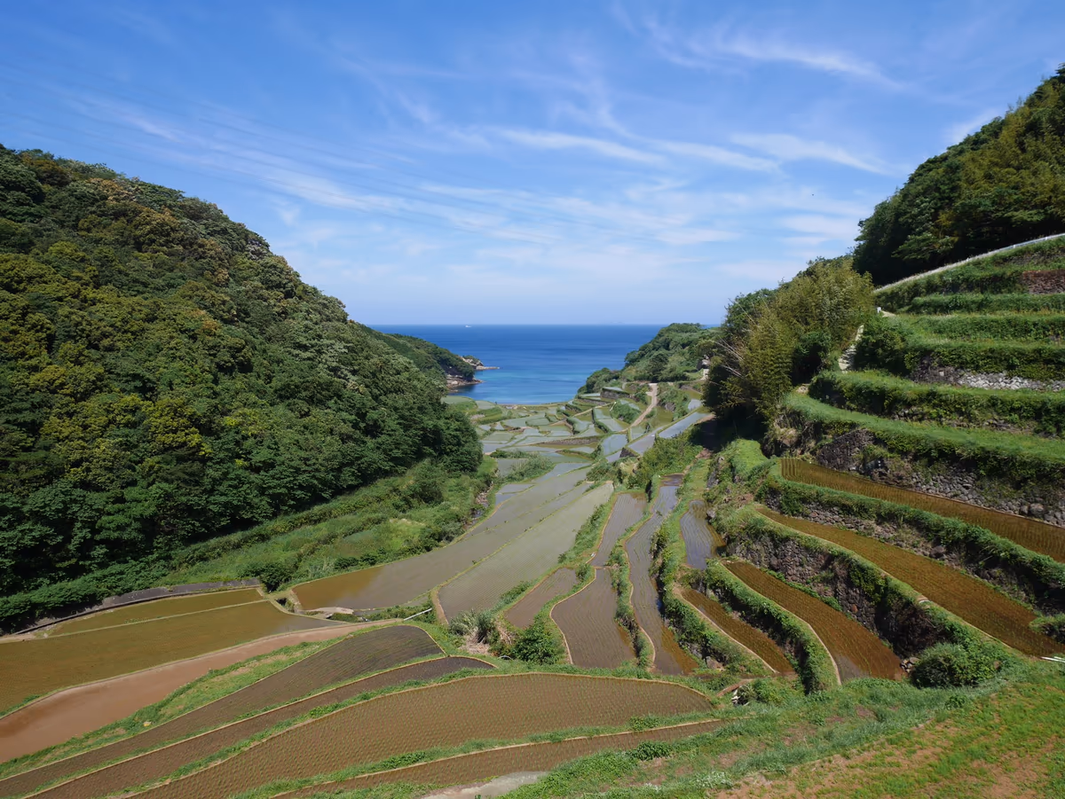 投稿写真：083浜野浦の棚田（佐賀）