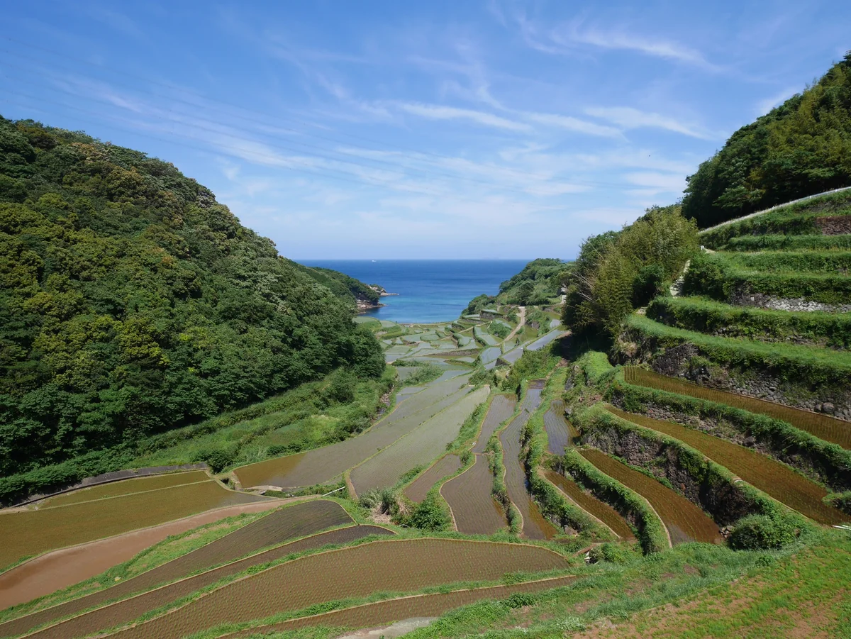 投稿写真：083浜野浦の棚田（佐賀）