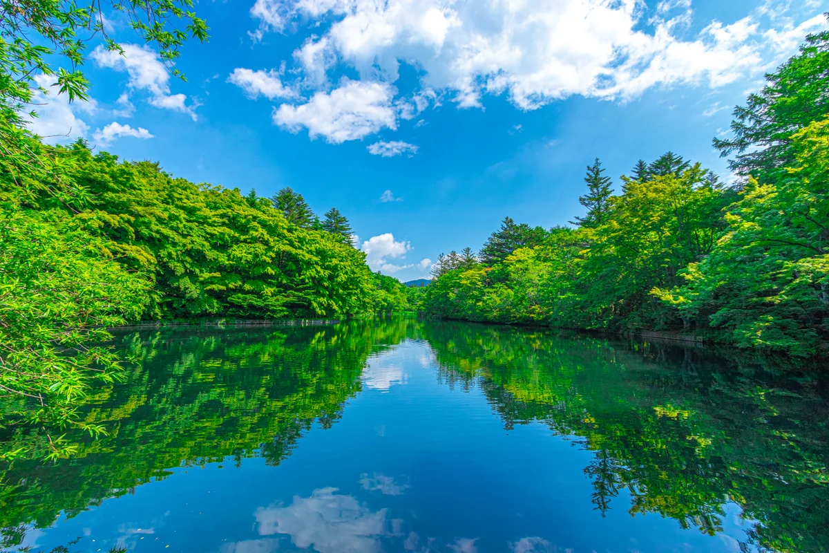 湖面に映える新緑と青空 | 絶景事典