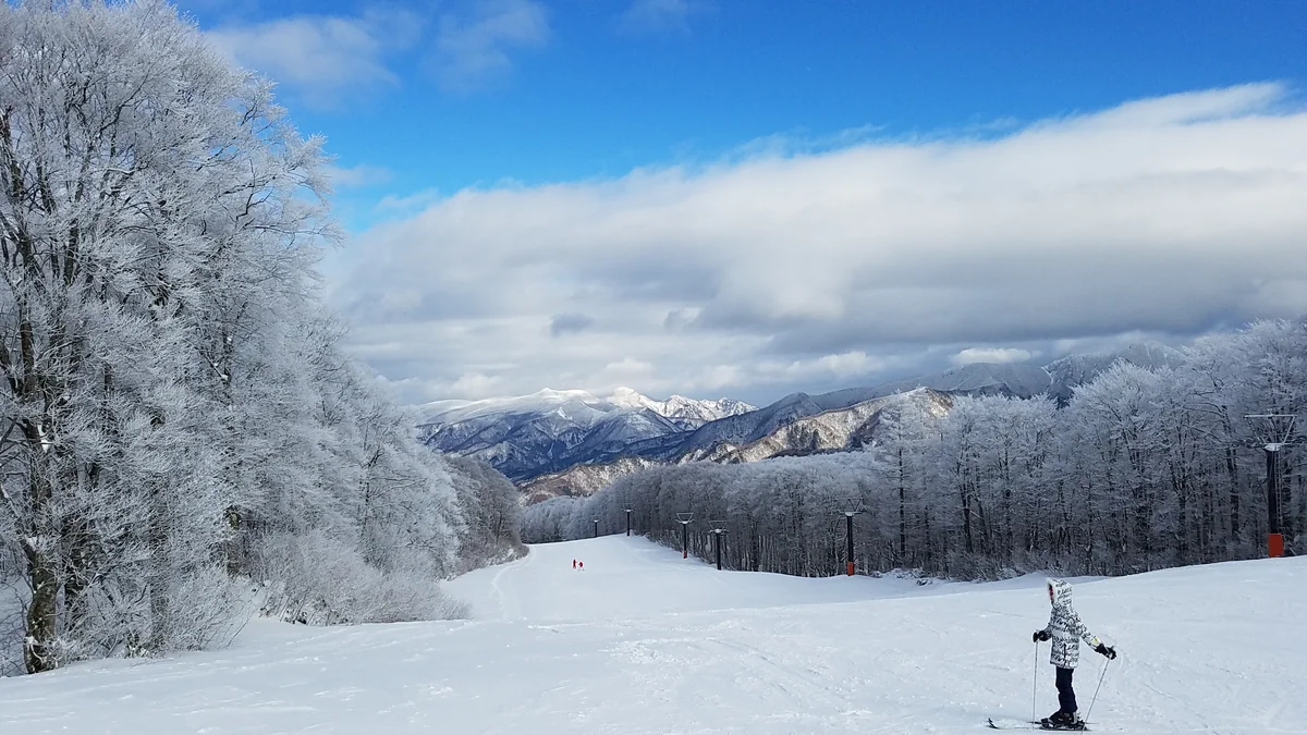 投稿写真：蔵王スキー場